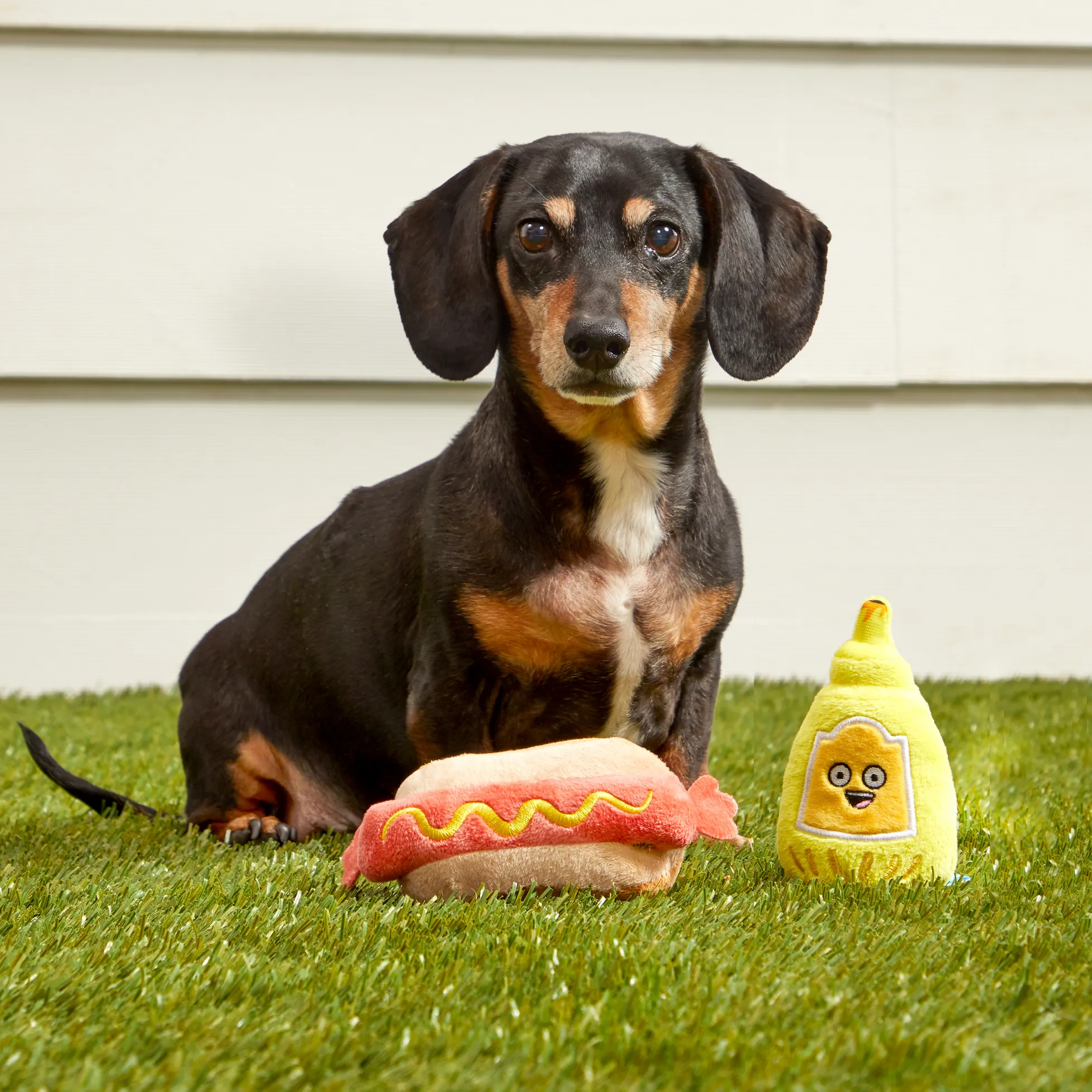 Frenchie's Mustard Hotdog